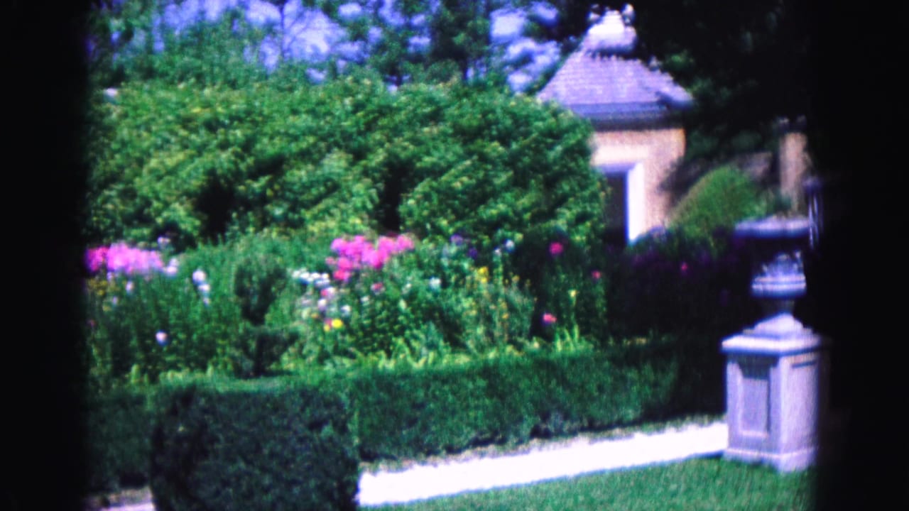 Garden with hedges, pink flowers, a stone planter and part of a building behind trees.