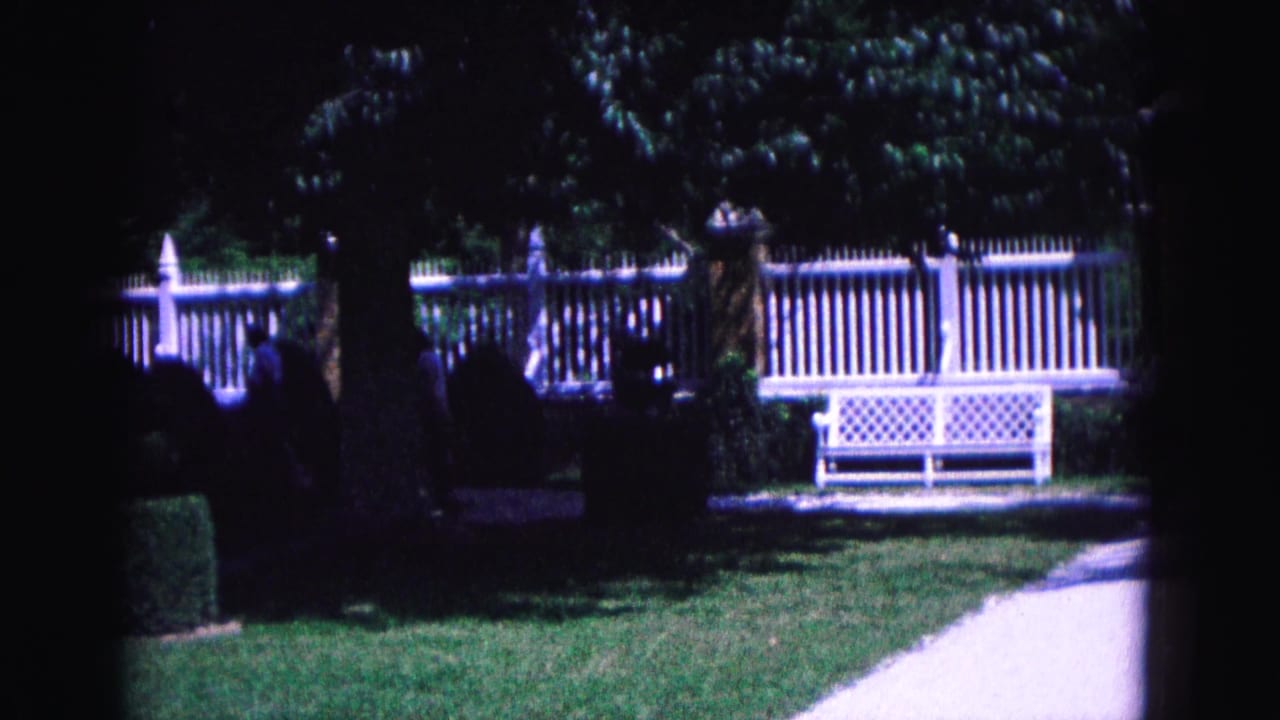 1964 Williamsburg-area yard view with a white fence and bench partly framed by trees, shrubs, lawn, and a bright paved path.
