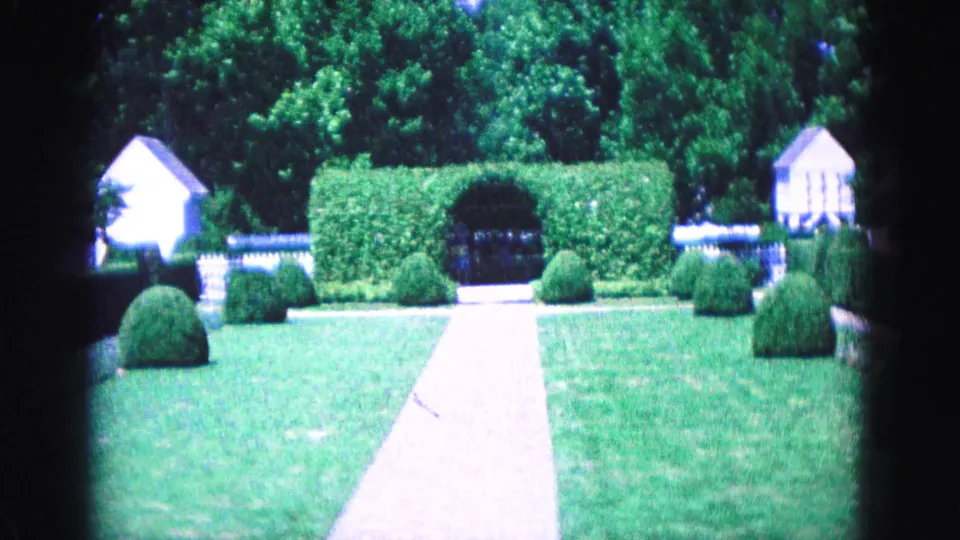 A manicured Williamsburg garden path leads across a lawn toward clipped hedges and small colonial-style buildings.