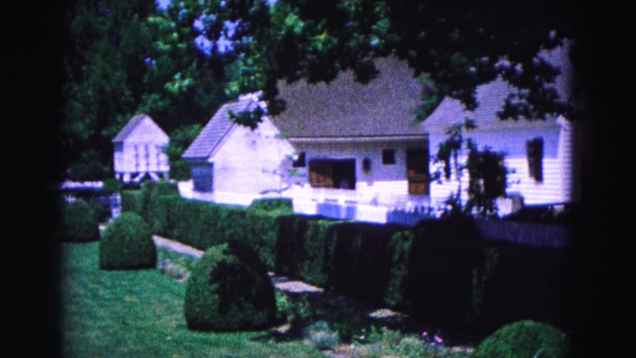 White houses and picket fencing behind a lawn with clipped shrubs and trees.