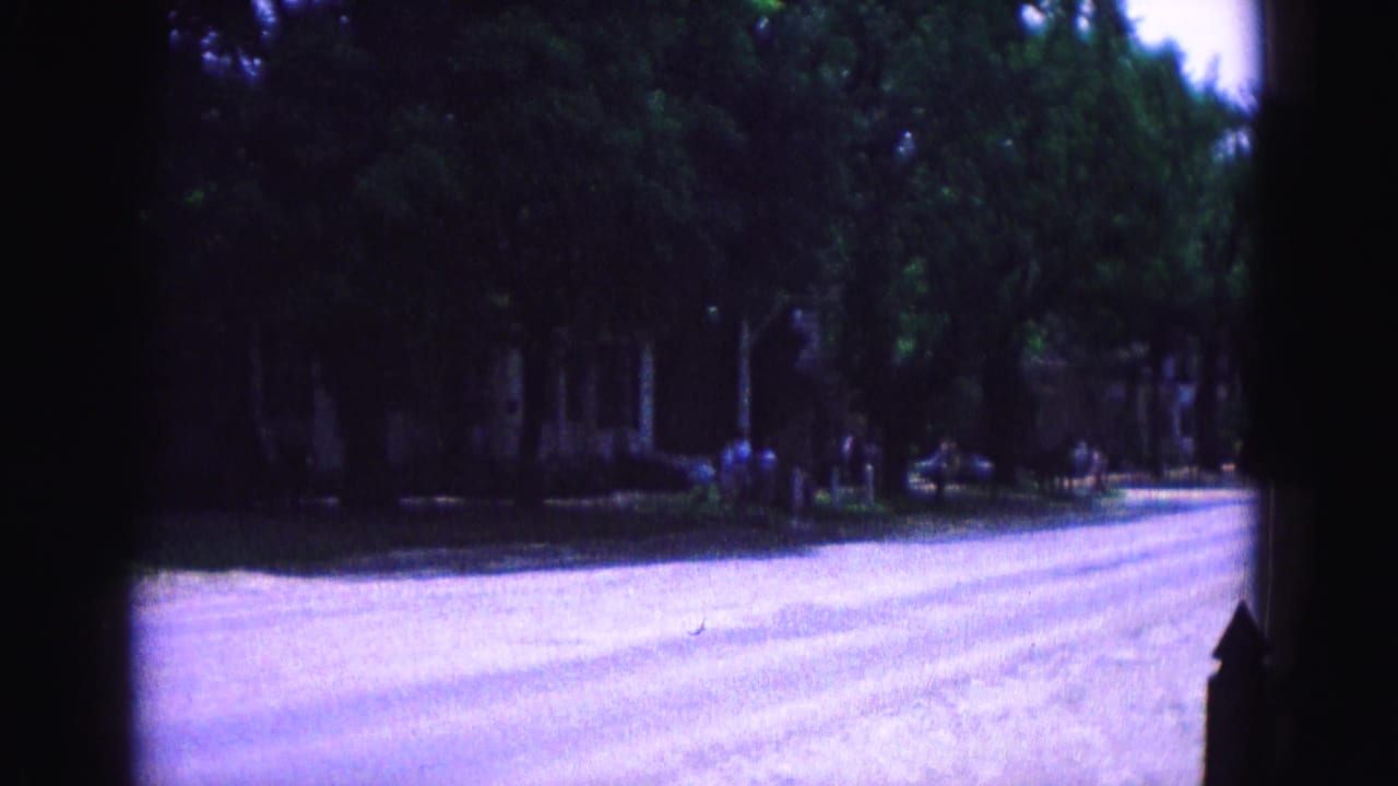 Tree-lined road seen through dark 8mm frame borders with shaded houses and sidewalk areas.