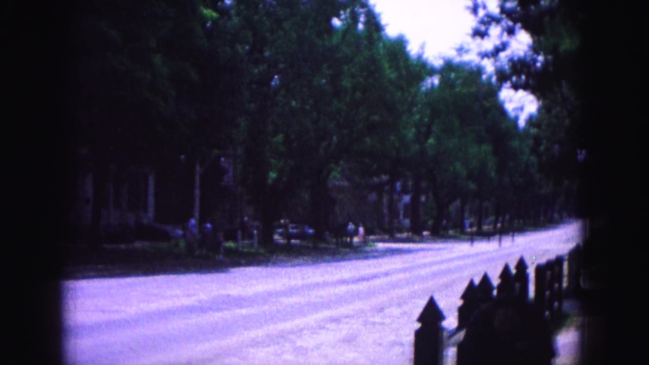 1964 Williamsburg street view with a long pale road, dense tree canopy, low fence, parked cars, and distant pedestrians.
