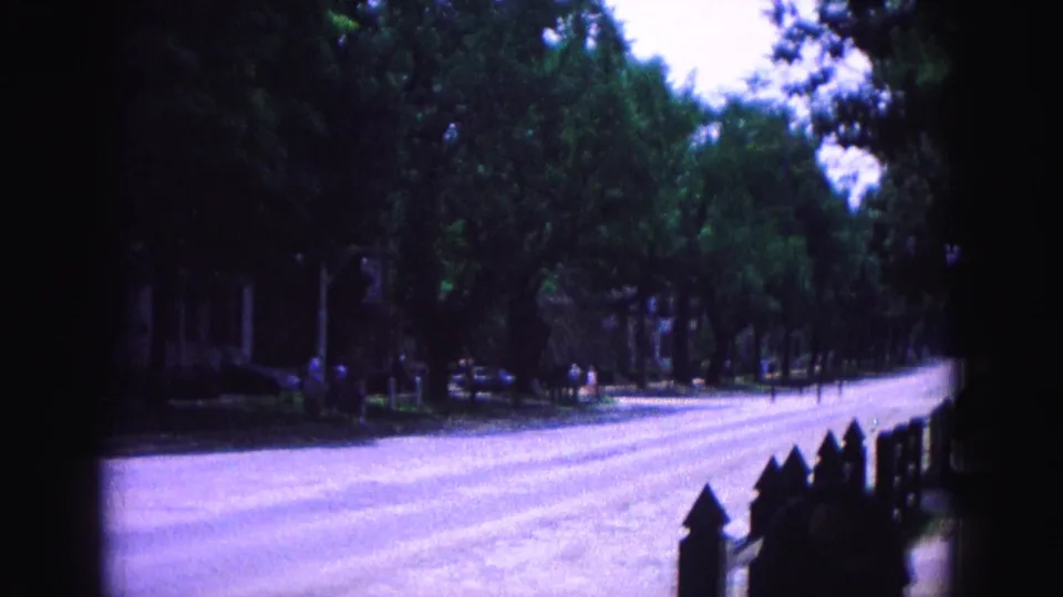 1964 Williamsburg street view with a long pale road, dense tree canopy, low fence, parked cars, and distant pedestrians.