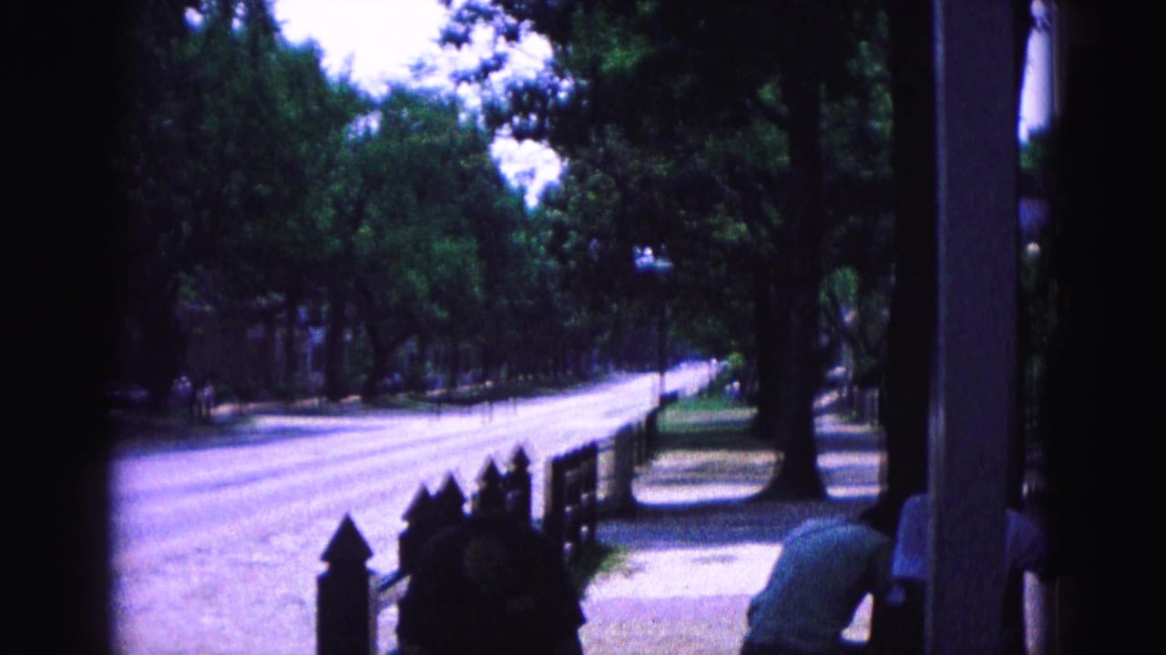 Tree-lined residential street seen from a shaded porch with fencing and sidewalk.