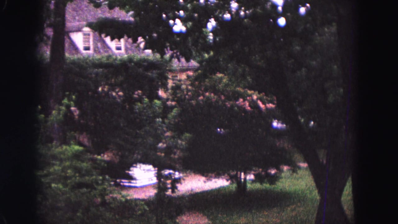 A landscaped garden with trees, shrubs, lawn, and a pale garden feature in the background.