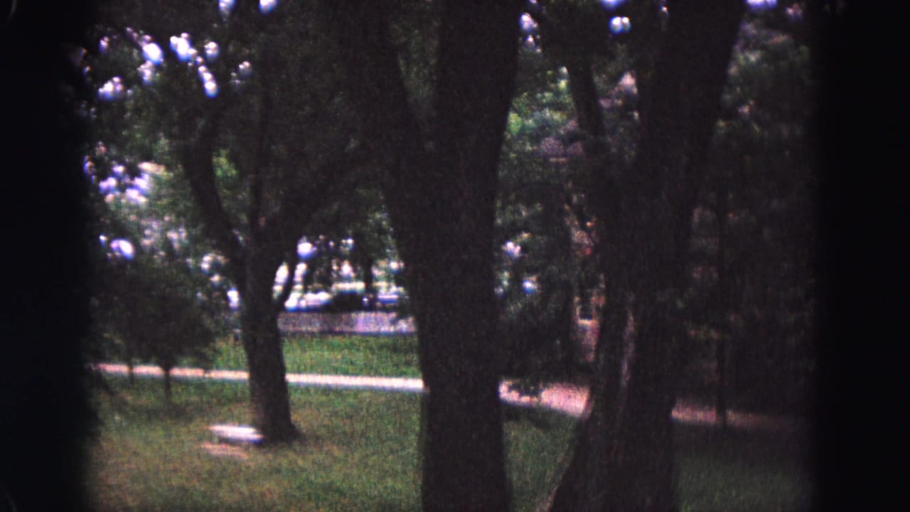 1964 home-movie view in Williamsburg, Virginia, showing a shaded wooded park with mature trees, grass, a path, and a pale bench or low seat.