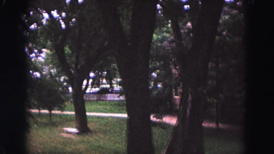 1964 home-movie view in Williamsburg, Virginia, showing a shaded wooded park with mature trees, grass, a path, and a pale bench or low seat.