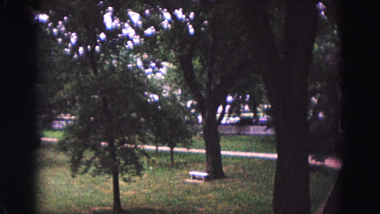 Wooded green space with a curving path, trees, and a pale bench in the distance.