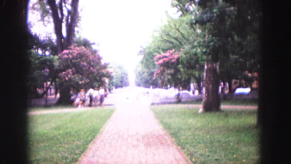 1964 Williamsburg, Virginia 8mm frame showing a bright path lined with grass, mature trees, pink flowering shrubs, and small groups of distant pedestrians.