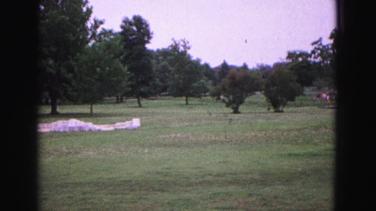Open grassy field with trees, shrubs, pale sky, and a small white object in the distance.