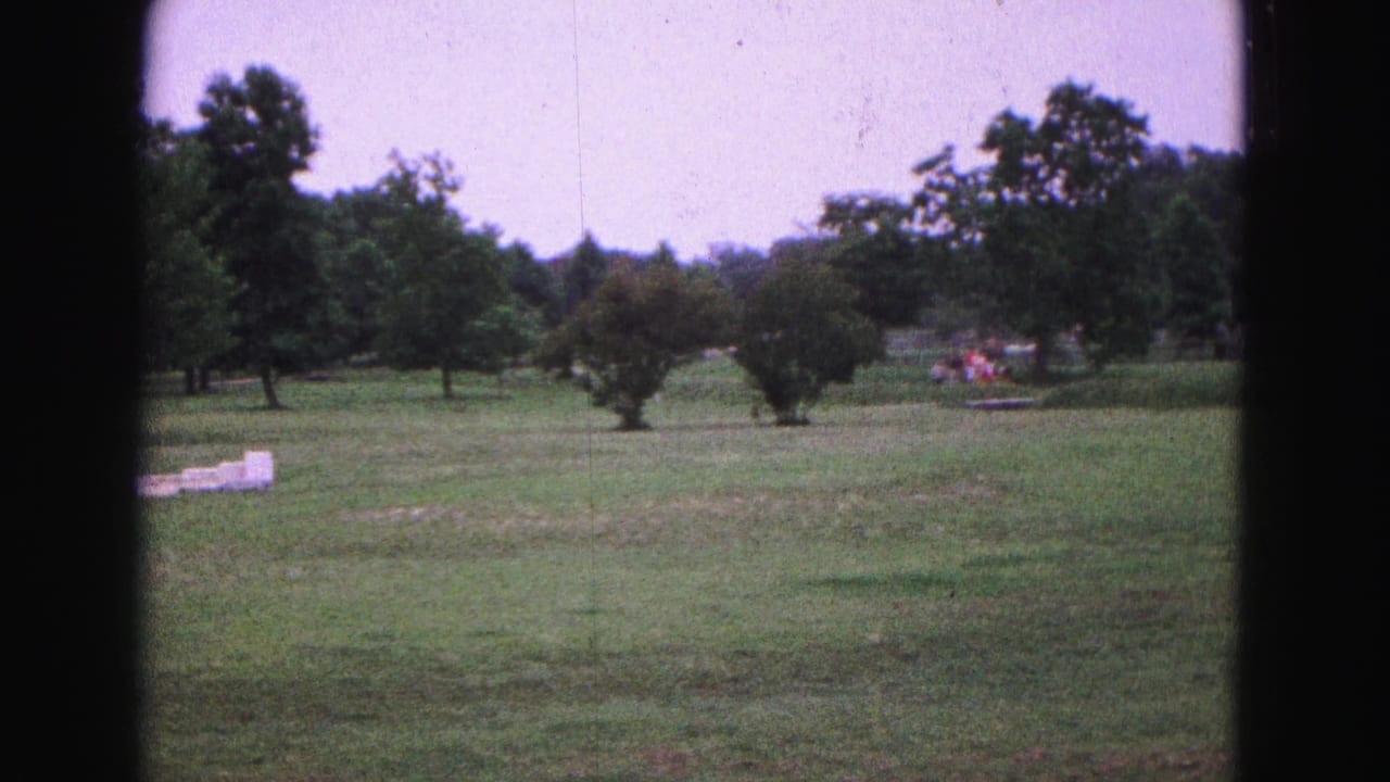 Grassy field and tree line with a white object at left and small distant color patches at right.