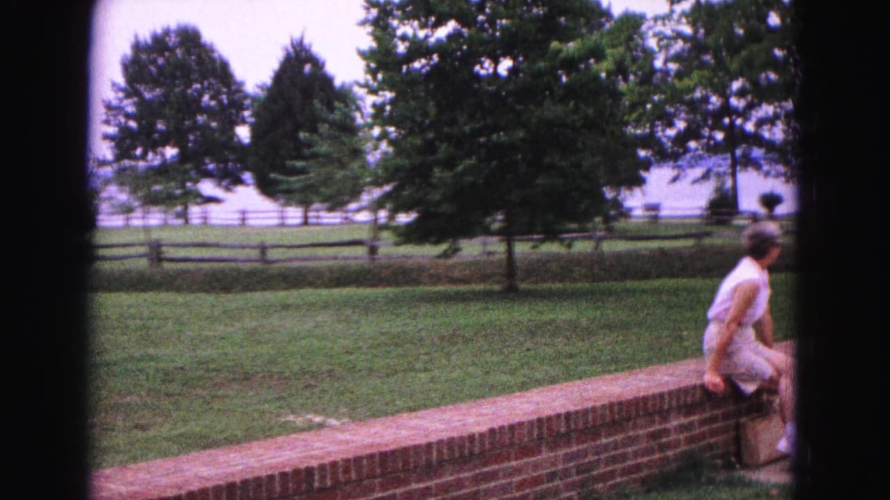 Woman seated on a brick wall beside a lawn with trees and fencing.