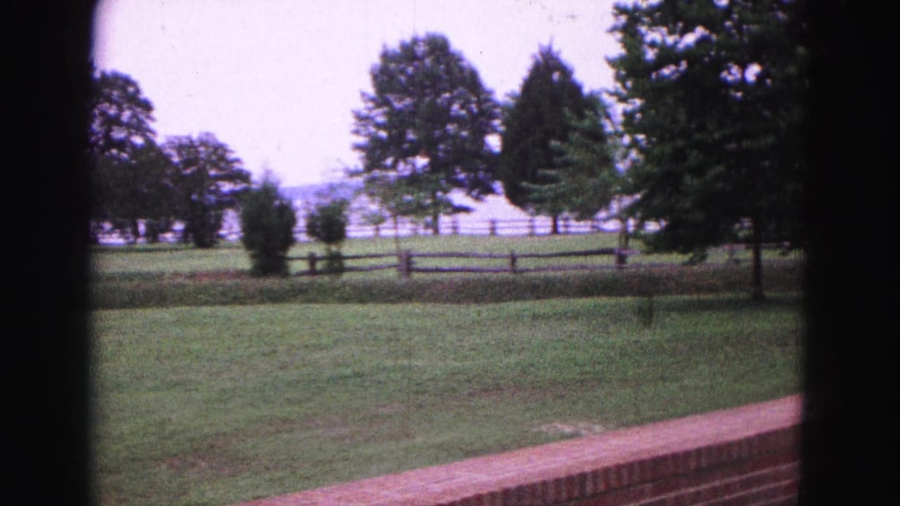 Open lawn bordered by brick wall, wooden fencing, shrubs, and trees.