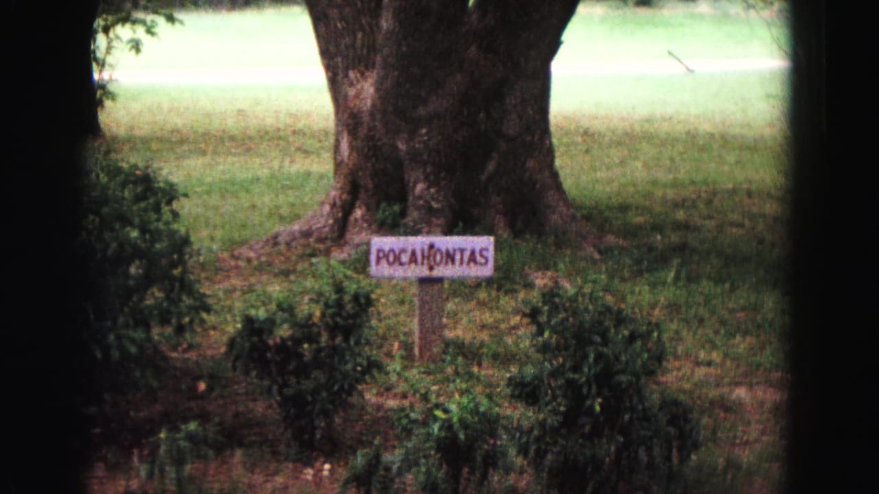 Pocahontas sign under a large tree with shrubs and grass.