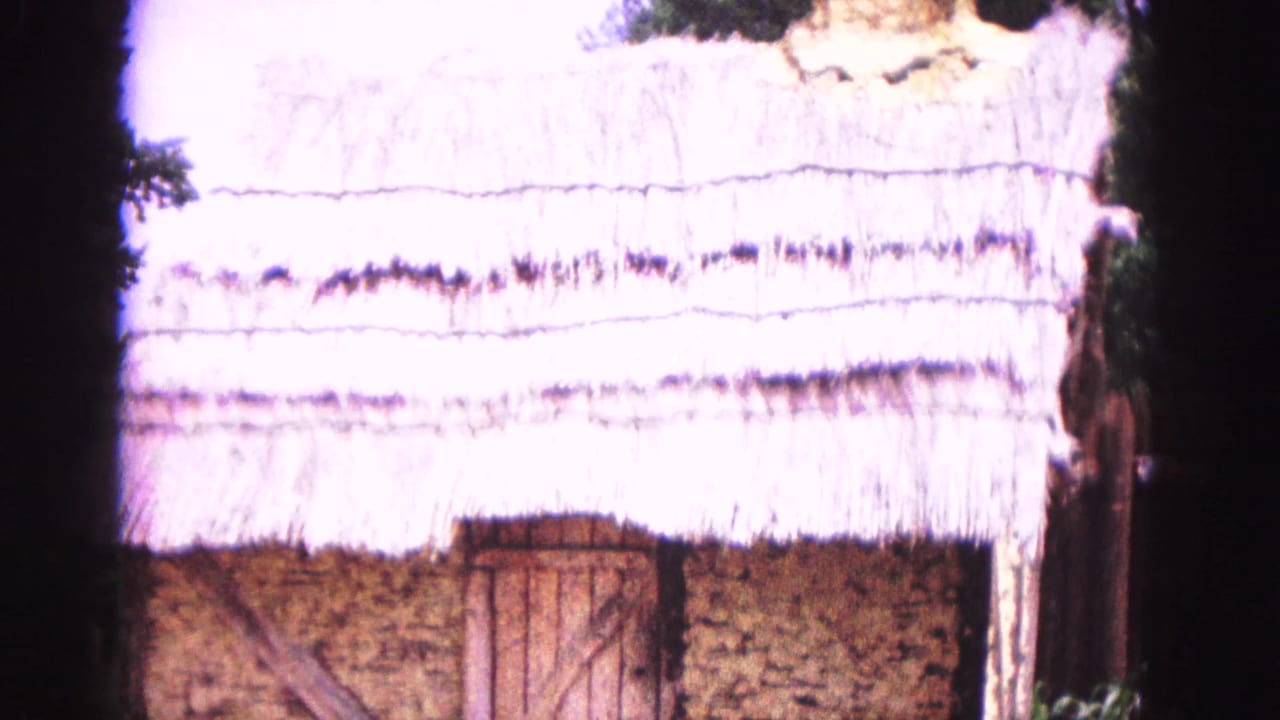 Thatched roof, timber trim, rough walling, and a plank door at a Williamsburg historic-style building in 1964 footage.