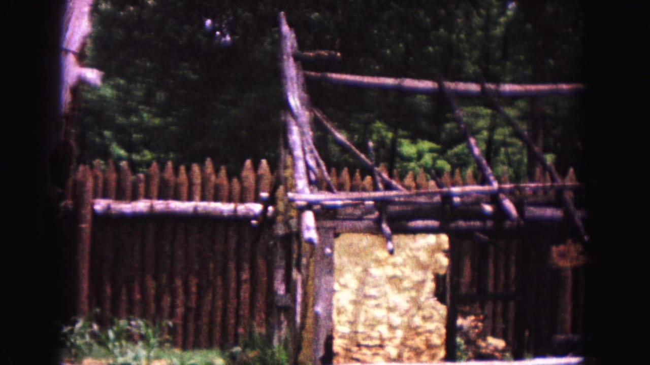 Rustic palisade fence and timber-framed structure among trees.