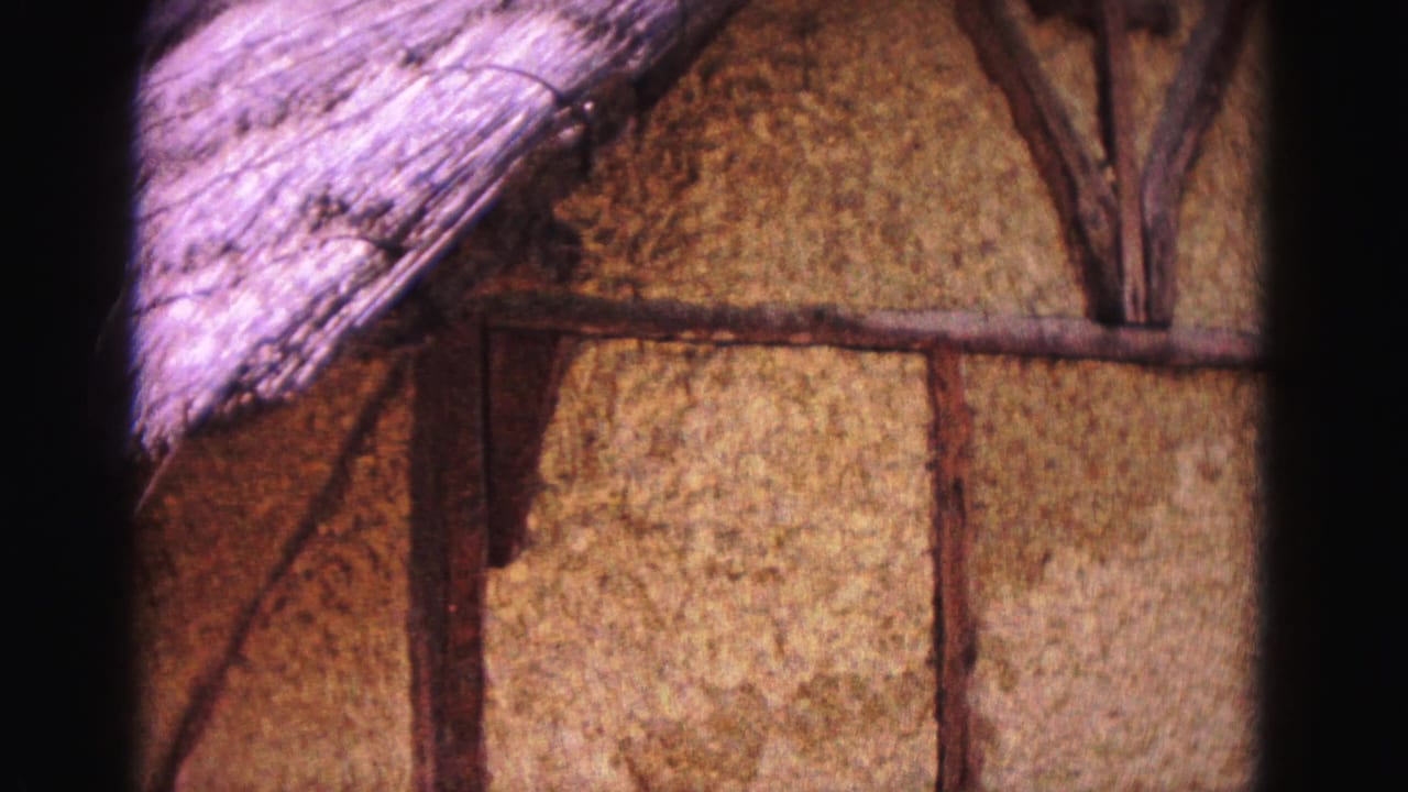 Close Williamsburg exterior detail with thatched roofing, textured wall surface, and dark wooden structural beams.