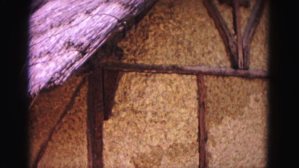 Close Williamsburg exterior detail with thatched roofing, textured wall surface, and dark wooden structural beams.