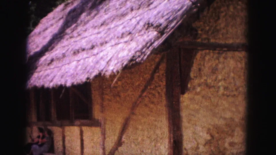 1964 Williamsburg view of the building side, showing thatch, exposed wood framing, rough walls, and a shaded window or opening.