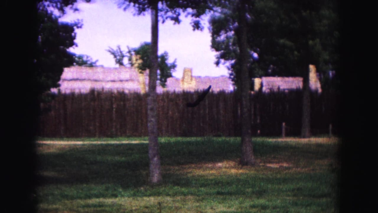 Grassy grounds with trees, a palisade fence, and colonial-style rooftops beyond.