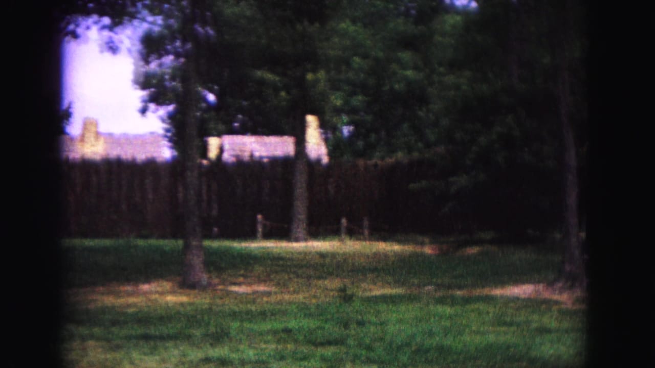 1964 Williamsburg frame with a grassy lawn, trees, palisade fencing, distant colonial-style roofs, and a path curving at right.