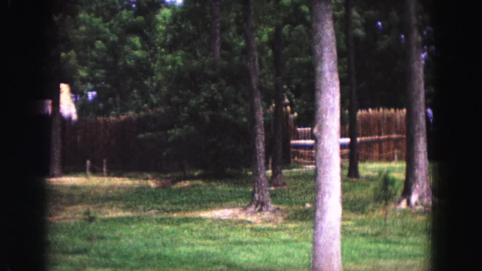 1964 Williamsburg home-movie frame showing tree trunks across a lawn with palisade fencing and a rustic rail or gate behind them.