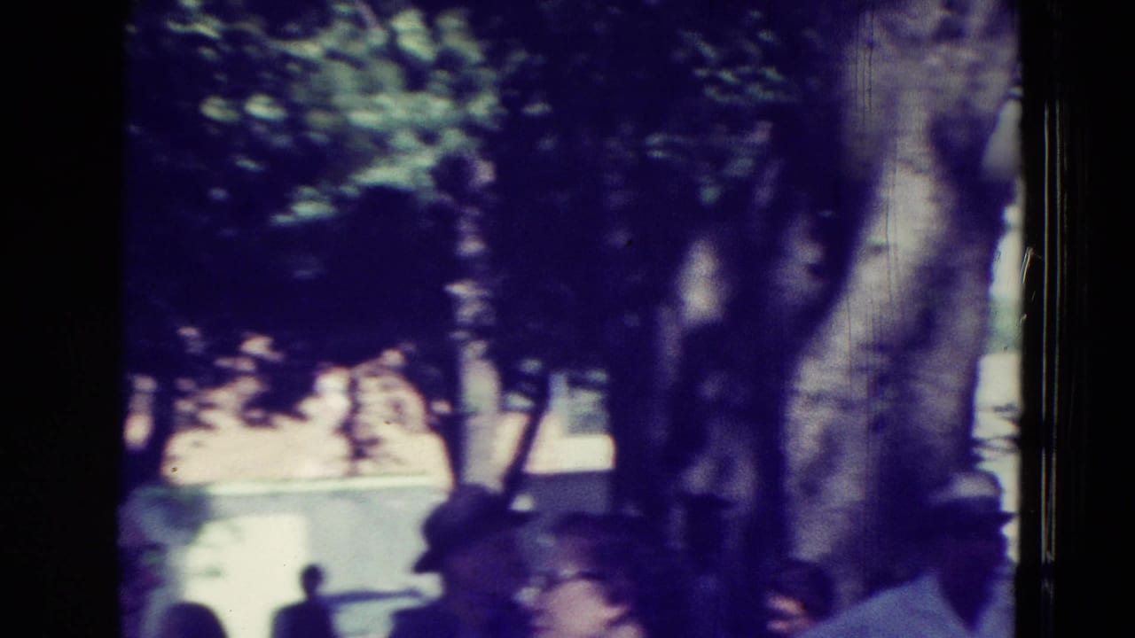 Adults pass under trees in a shaded outdoor area, with faces partly blurred by motion.