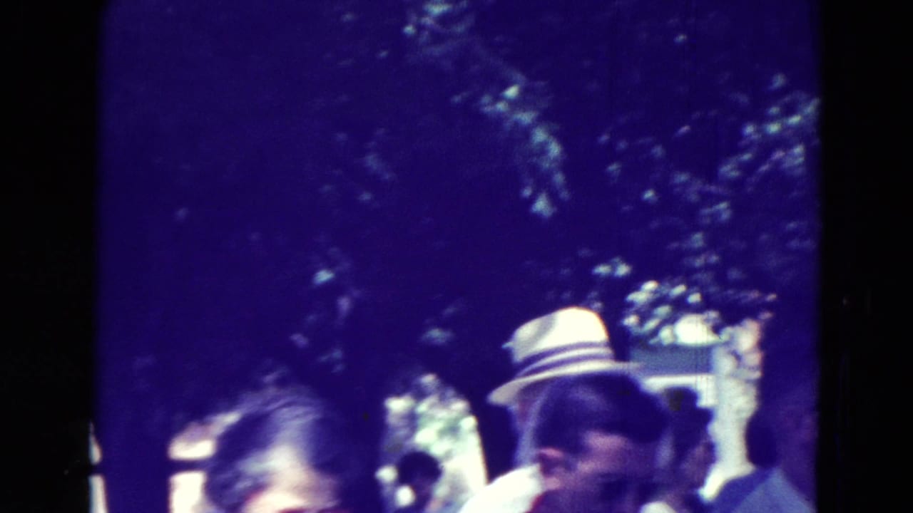 Crowd members stand or walk beneath trees, including a person wearing a light-colored hat.