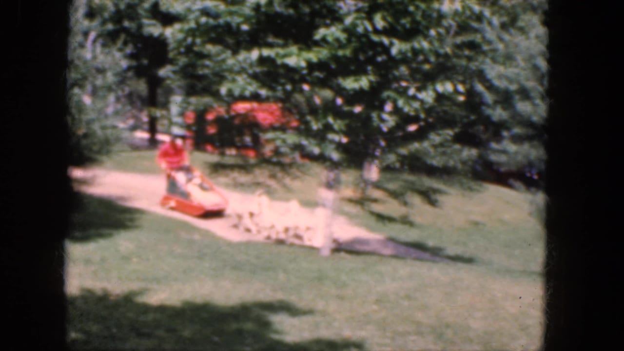 In Concord, New Hampshire, 1965 home-movie footage, a person in red rides a homemade red sled pulled by dogs across a green yard.