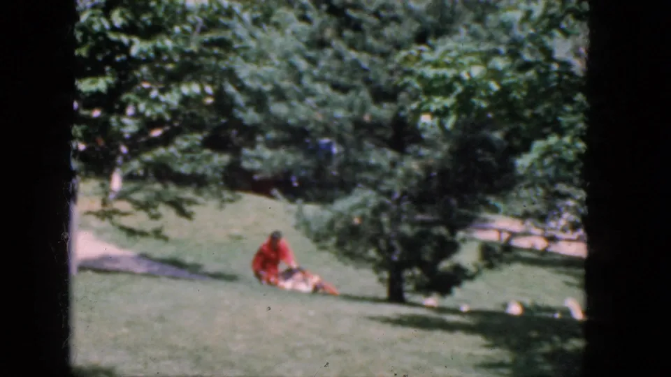A rider in red sits on the homemade sled while the dogs continue across the grassy Concord yard in soft 8mm color.