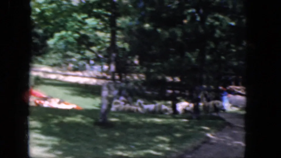 Near the end of the 1965 Concord home-movie clip, the red sled and dog team are partly hidden in tree shade across the lawn.