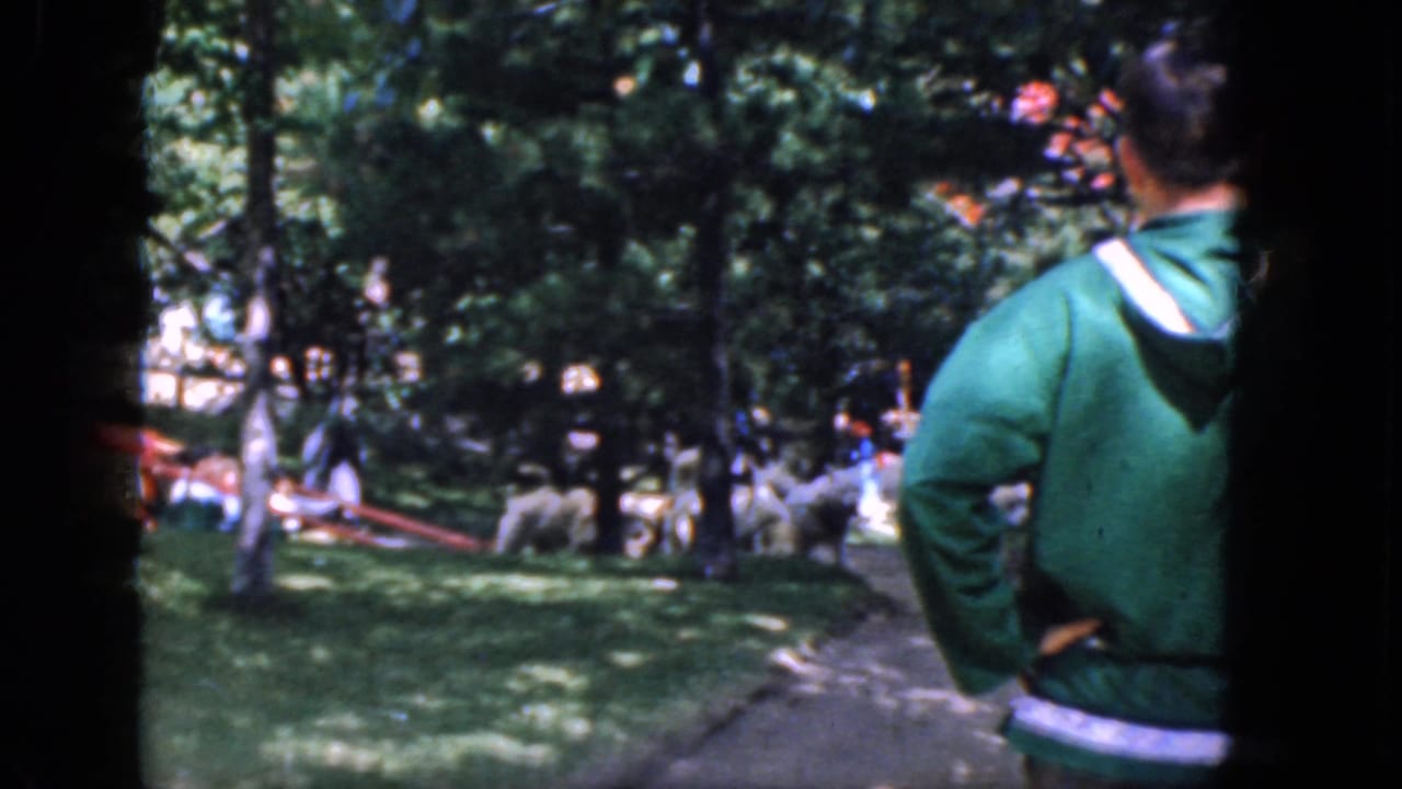 In a 1965 Concord, New Hampshire park scene, a person in a green jacket faces away near trees while people and white dogs move in the background.