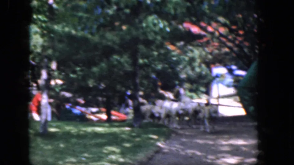 Several white dogs and people move through a tree-lined park path in the metadata-identified 1965 Concord, New Hampshire footage.