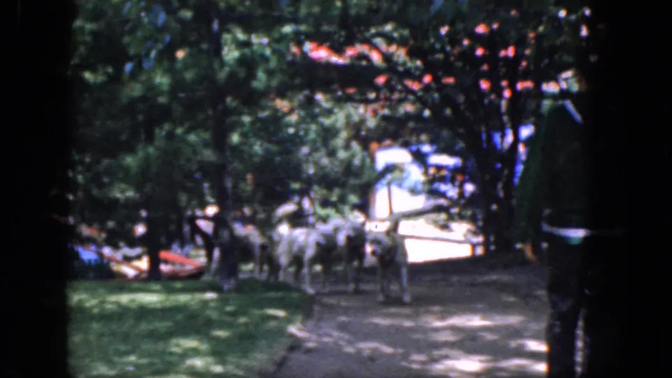 The 1965 Concord park footage shows a partly framed person in green near the camera, with white dogs and people farther along the path.