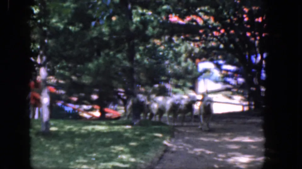 People and white dogs continue through the wooded park setting in Concord, New Hampshire, as captured on 1965 8mm home-movie film.