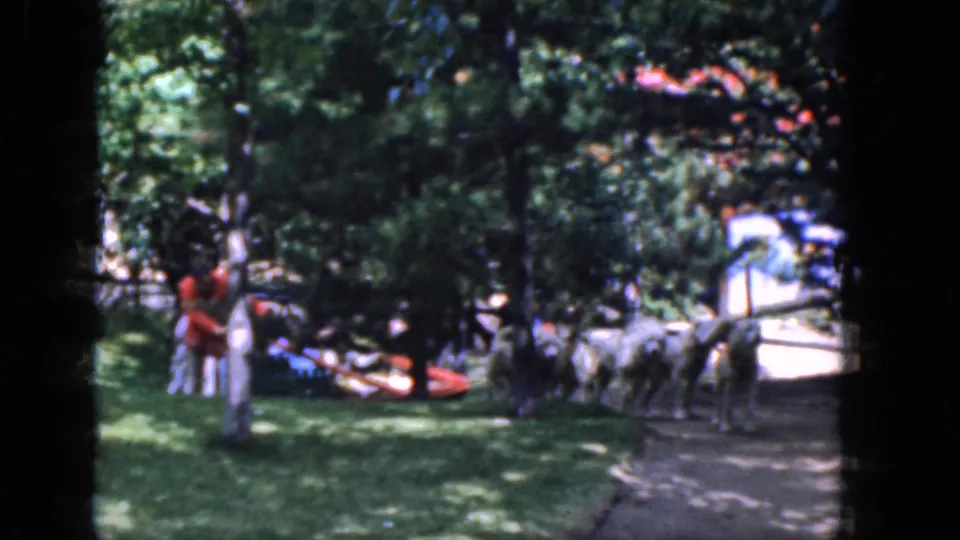 1965 Concord, New Hampshire home-movie frame showing sled dogs resting near a tree, path, red sled, and distant people.