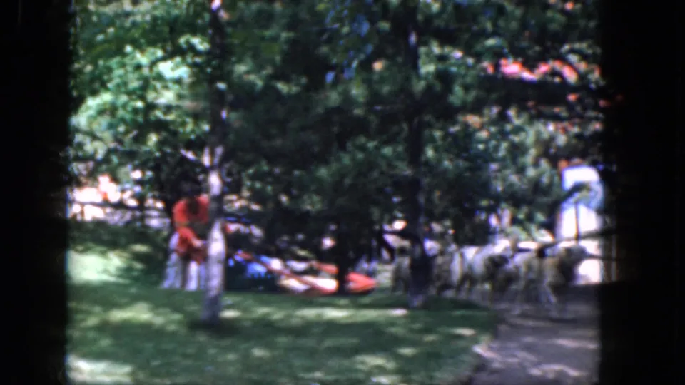 1965 Concord, New Hampshire frame with sled dogs clustered near a path, a person at left, and a red sled on the grass.