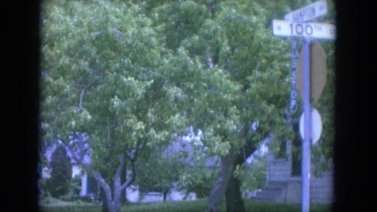 Leafy residential street seen through a window frame with a street sign and houses behind trees.