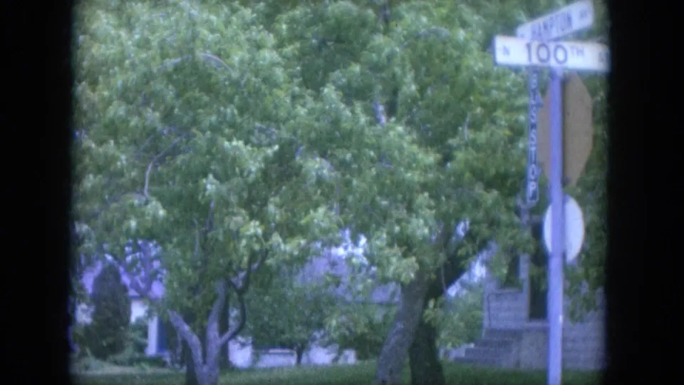 1965 Louisville residential street view through a window frame, with leafy trees, grass, a street sign, and houses partly visible.