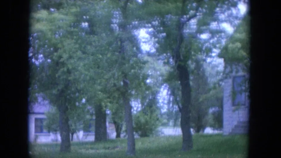 1965 Louisville 8mm view of trees and lawn partly blocking a stone residential exterior.