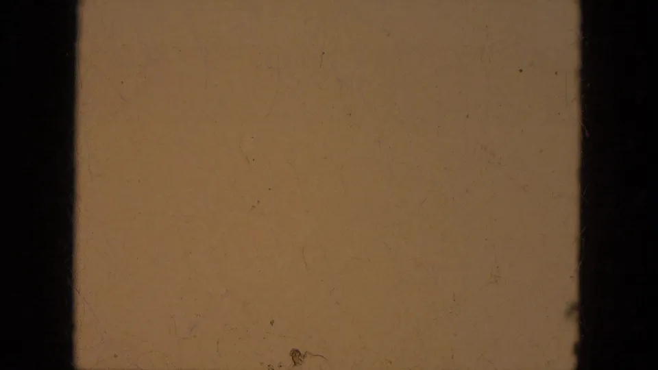 End frame shows tan film leader or overexposed 8mm material with dust specks and the physical film edge visible.