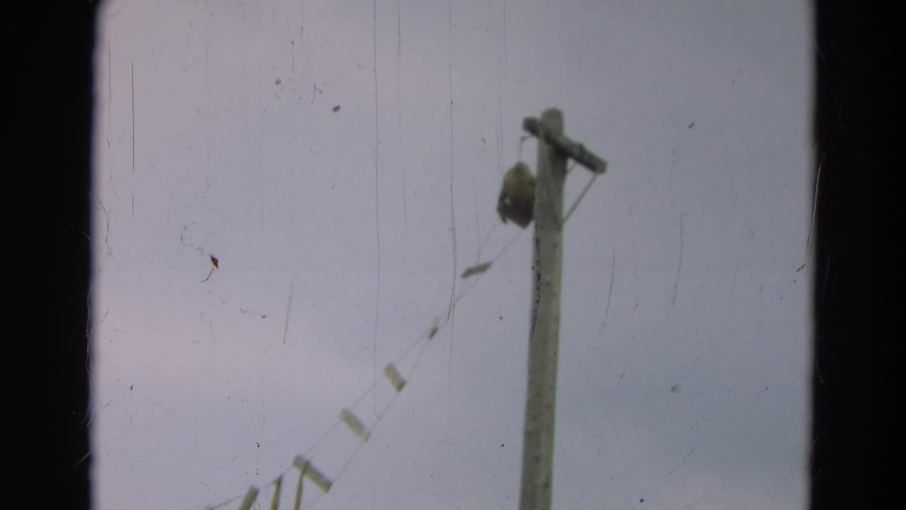 Wooden utility pole and hanging line seen through a soft, scratched film frame.