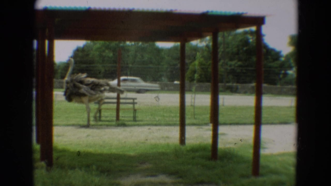 1965 Omaha frame with an ostrich under a simple shelter and a mid-century car visible on the street beyond.