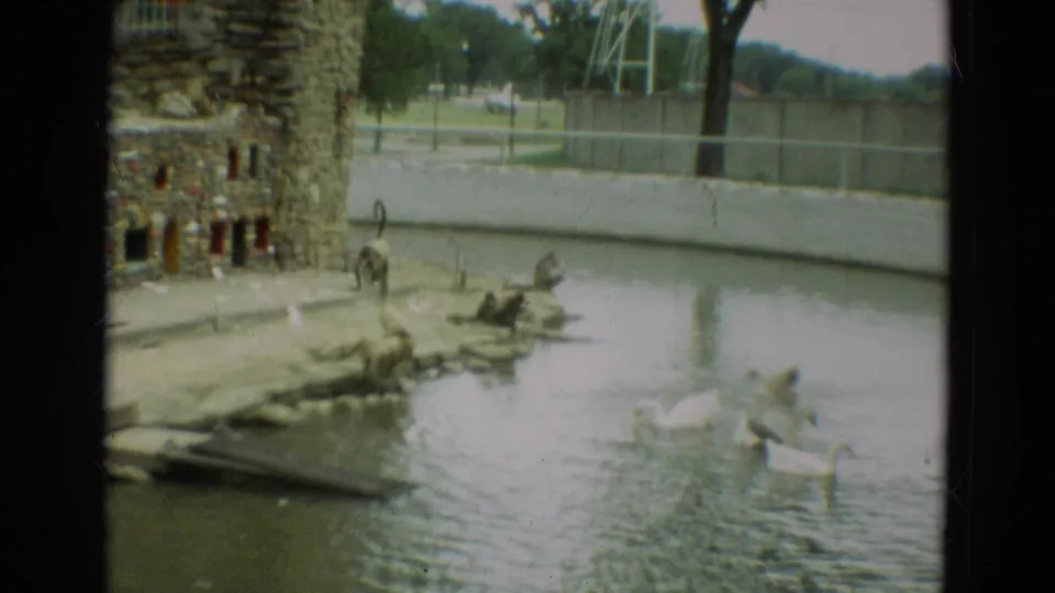 1965 Omaha zoo footage showing monkeys near a stone enclosure wall and white birds on a pond.