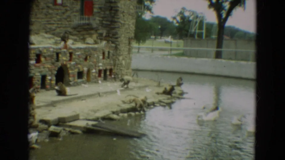 1965 Omaha zoo enclosure with monkeys near a stone wall and white birds crossing the pond.