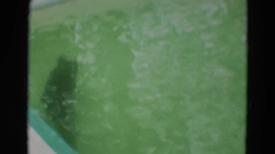 A dark seal swims in a green-tinted pool at a likely Omaha zoo or aquarium in 1965 home-movie footage.