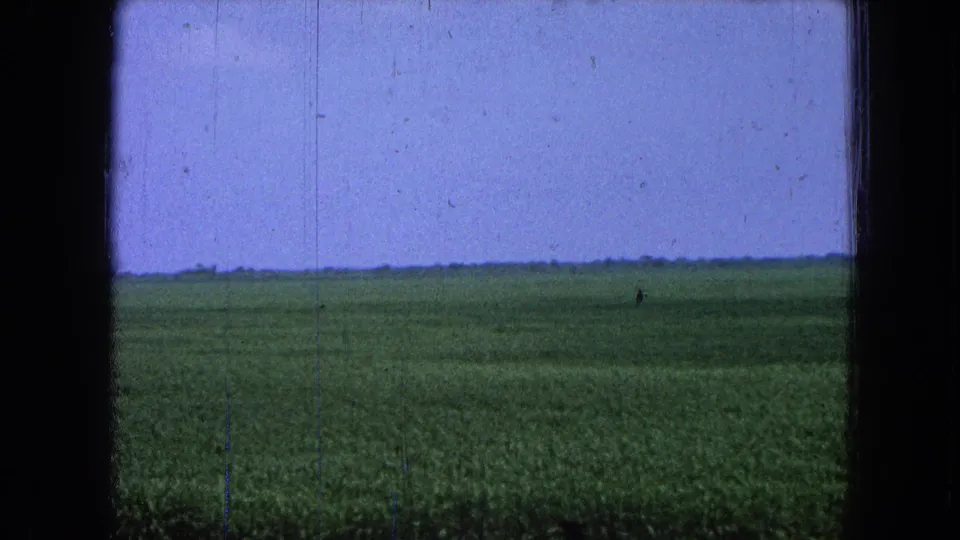 1965 8mm view from Pueblo, Mexico showing a broad green field and low horizon beneath a pale blue sky.