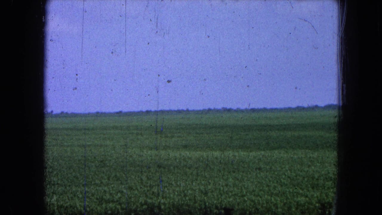 Open green field and pale sky with dark frame borders and visible film wear.