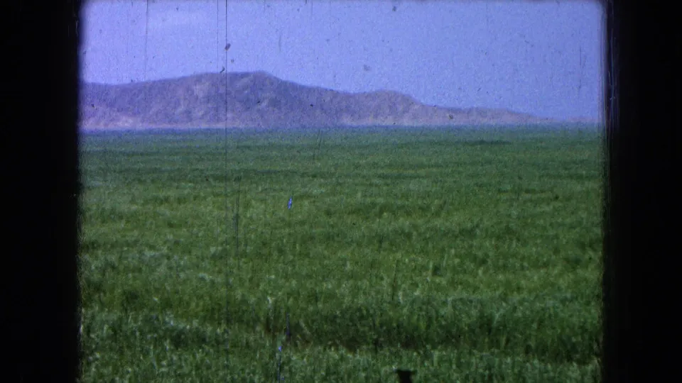Final 1965 8mm frame from Pueblo, Mexico with a green field foreground and low mountains visible on the horizon.