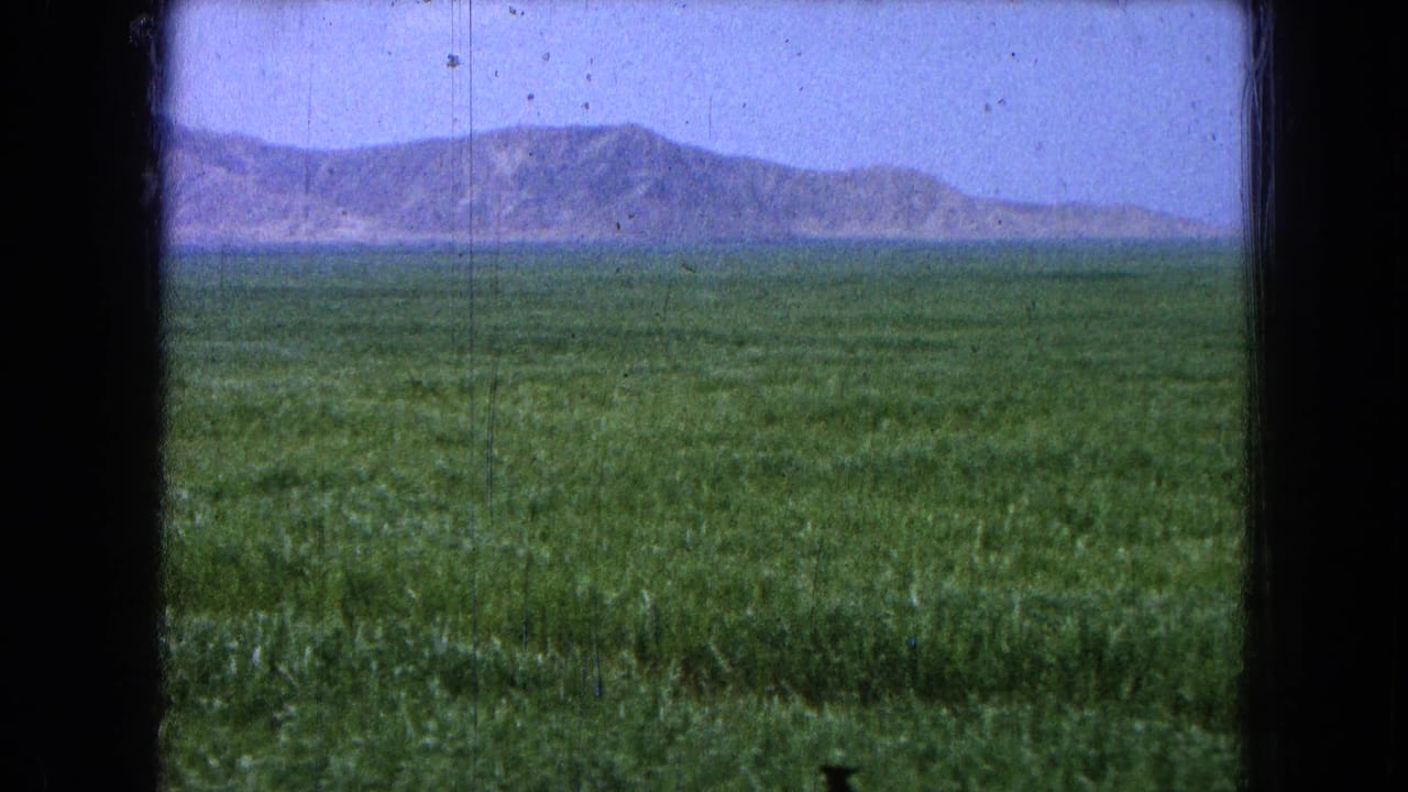 Green field stretching toward distant mountains under a pale blue sky.